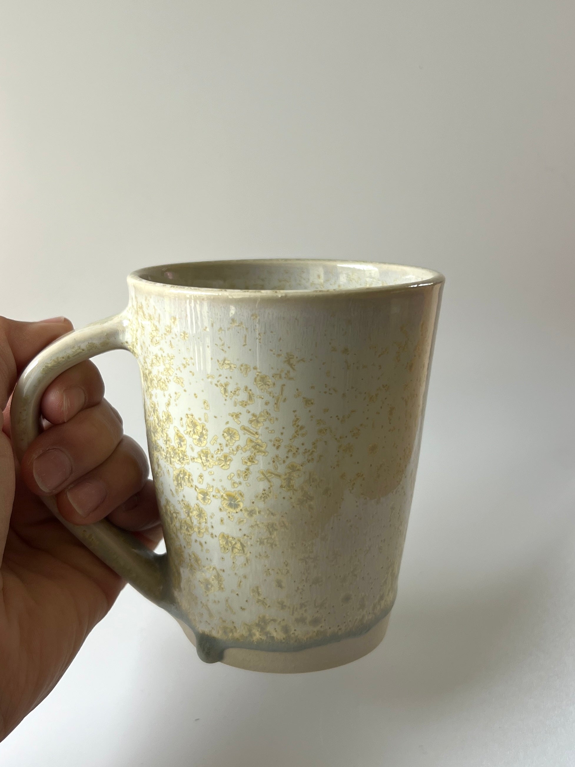 Sand Dollar Crystalline Mug