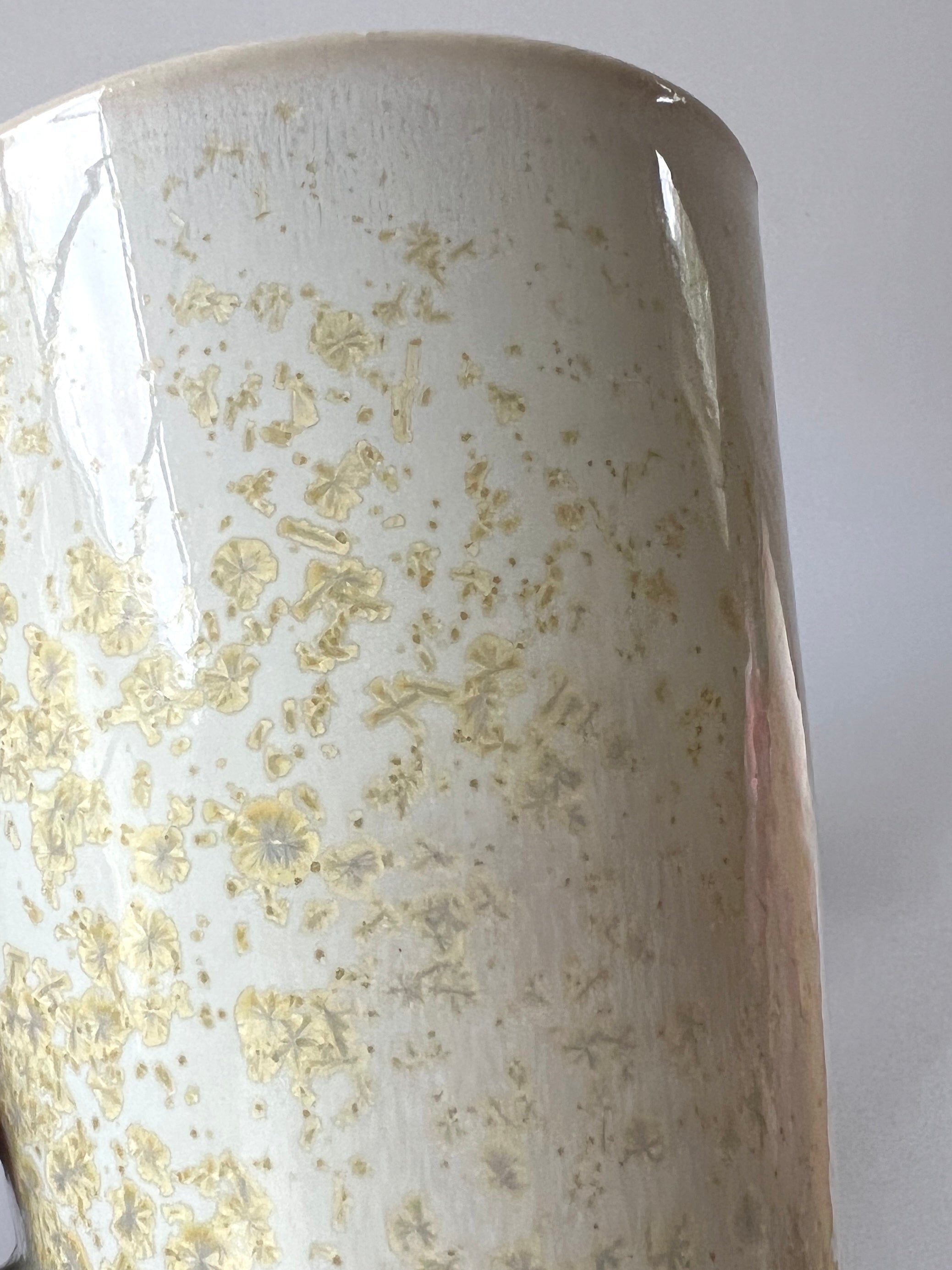 Sand Dollar Crystalline Mug