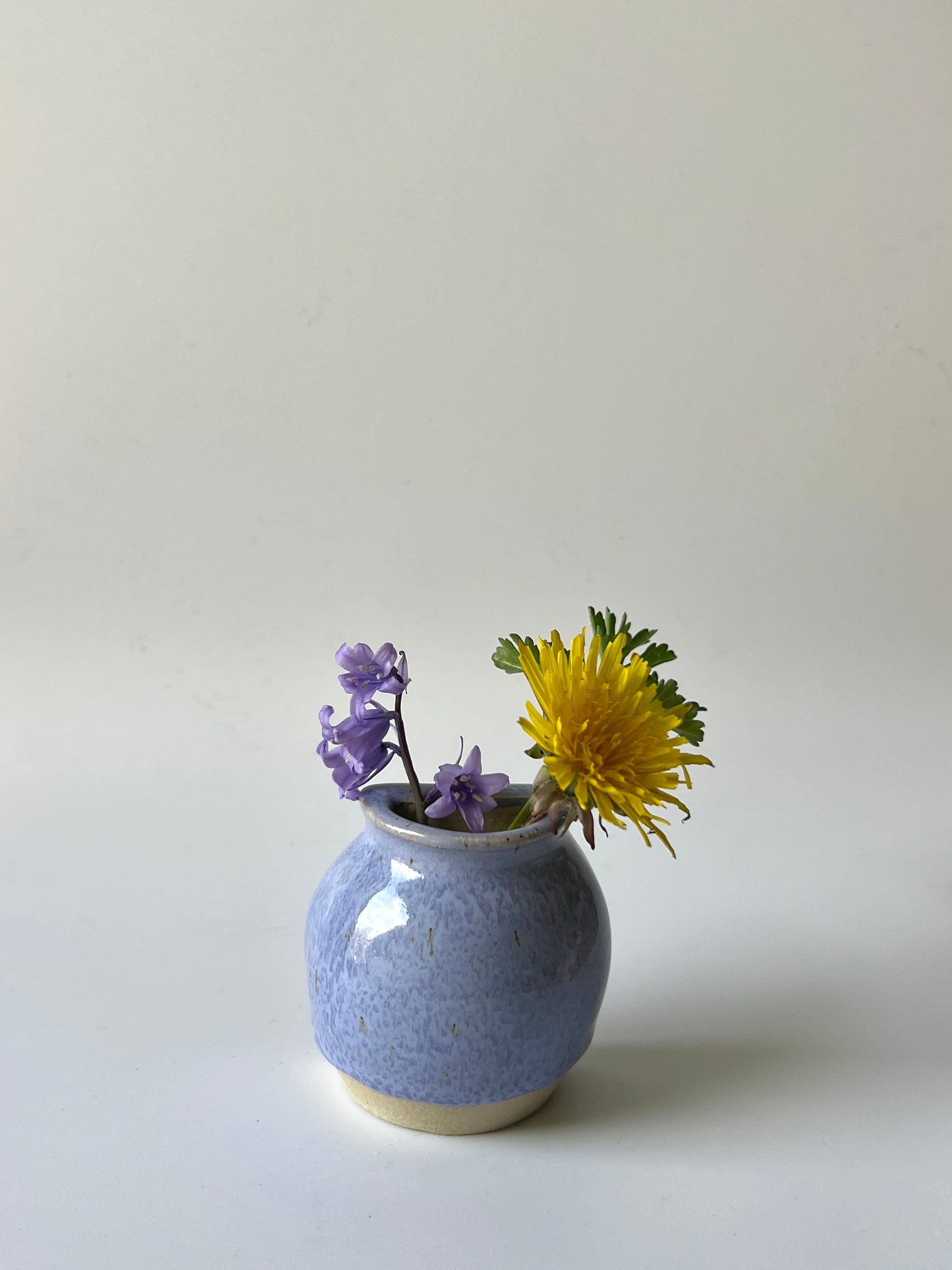 Coastal Periwinkle Magnetic Bud Vase
