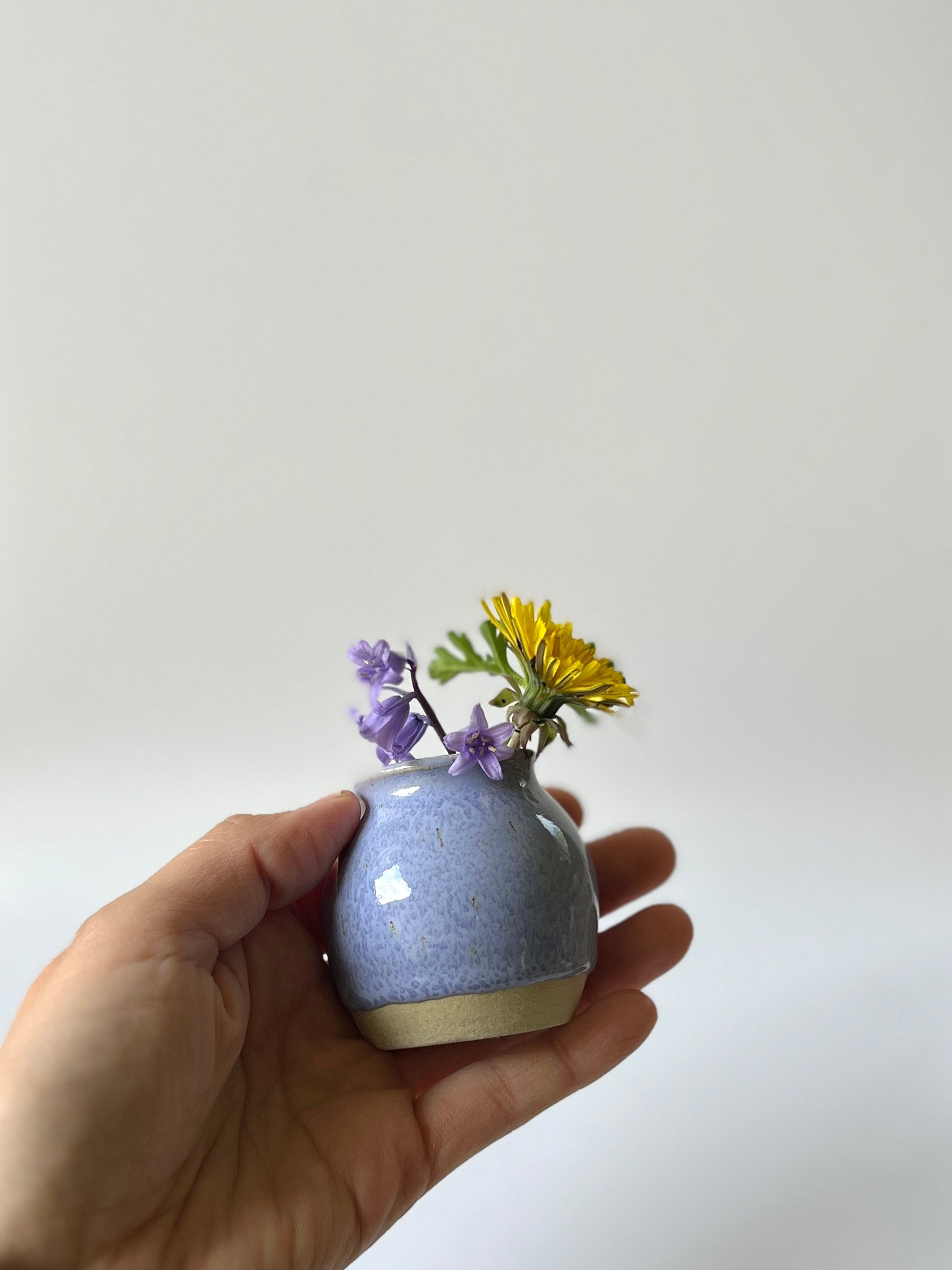 Coastal Periwinkle Magnetic Bud Vase